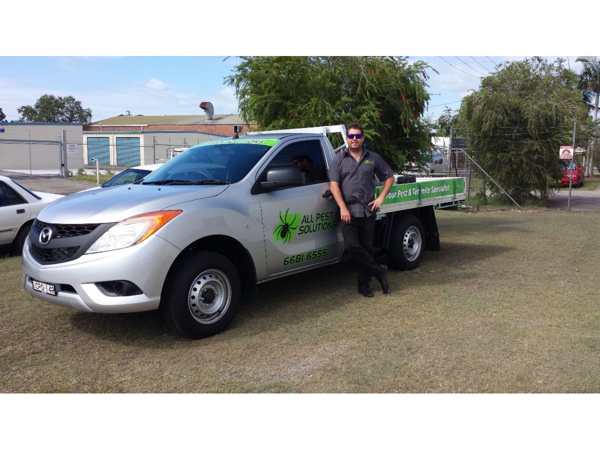 All Pest Solutions Pest Control 21 Hurley Dr, Coffs Harbour NSW 2450