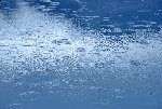 Roof & Gutter Repairs