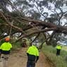 Hilltops Vegetation Services - Pic 9