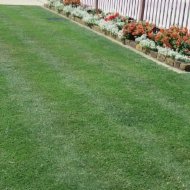 Walkers Turf Supplies Turf Lawn Suppliers Ipswich