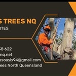 OASIS TREES NORTH QUEENSLAND - Pic 1
