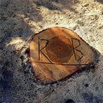 Rob's Tree Service - Pic 10