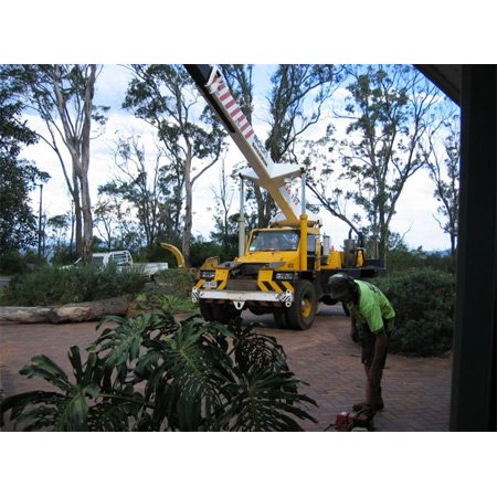 Arbor Life Tree Services - Tree & Stump Removal Services - Toowoomba