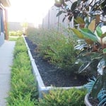 Ian Kelly Landscape Contractor - Pic 6