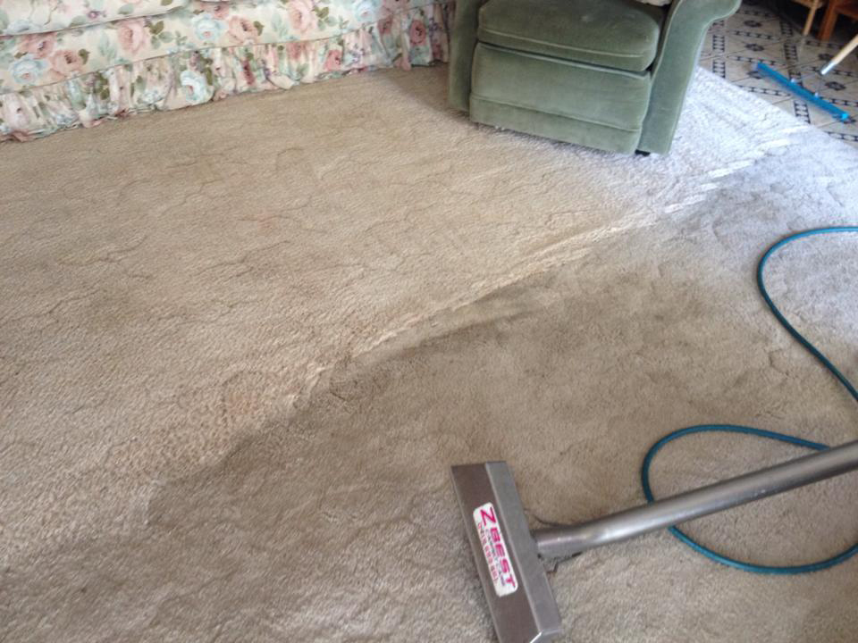 Z Best Carpet Care Carpet Cleaning & Protection Wagga Wagga Yellow
