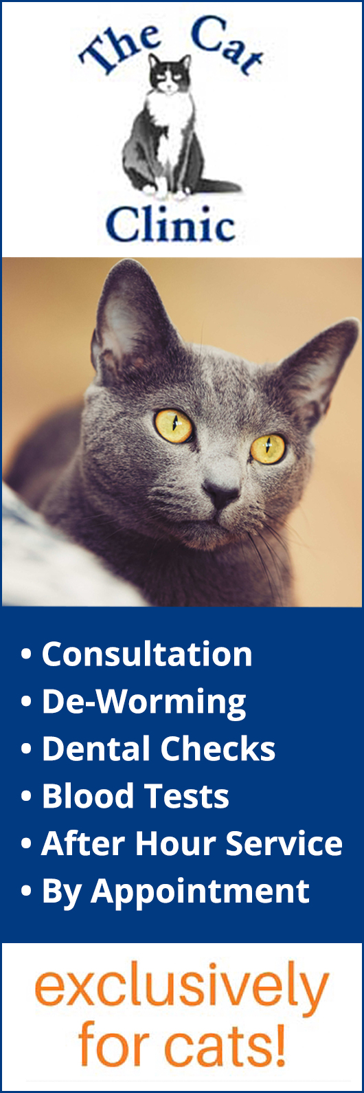 The Cat Clinic Vet Bonney Place 318 Junction Rd, Clayfield QLD 4011