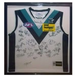 Buck Tania Medals and Frames - Pic 6