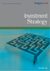 Investment Strategy