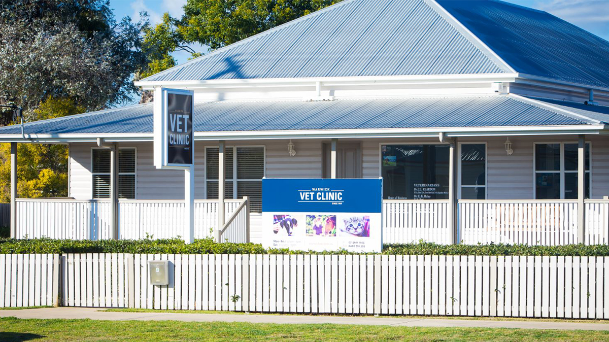 what kind of dog did teddy roosevelt have