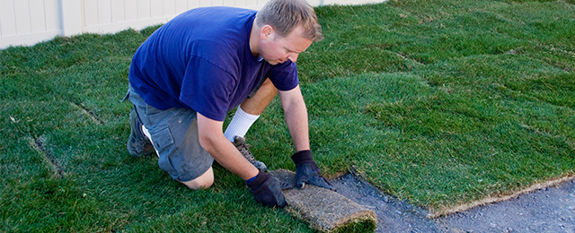 Britt's Paving & Landscaping - Promotion 2