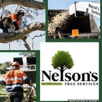 Nelson's Tree Services - Pic 9