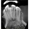 Clayray Dental Radiology - Pic 2