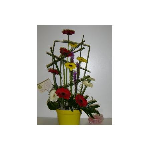 Flowers On Johnson - Pic 7