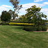 Craig Adams Home & Garden Maintenance Services - Pic 2