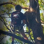 Brisbane Pest Control Companies