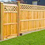 Rearden Fencing - Pic 5