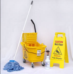Suggested Cleaning Products