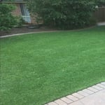 Oasis Lawns & Gardens - Pic 4