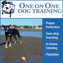One on One Dog Training - Promotion