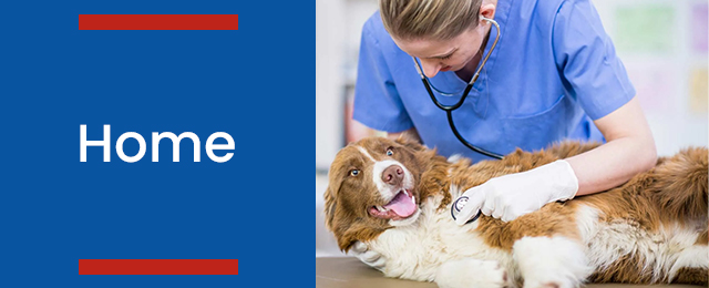 Wetherill Park Veterinary Surgeons - Promotion 2