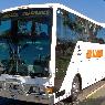 Adelaide Coaches & Bus Hire - Pic 1