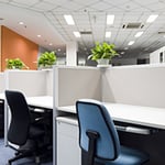 Unicorn Cleaning & Gardening Services Pty Ltd - Pic 7