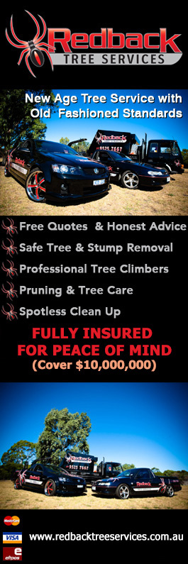 Redback Tree Services - Promotion
