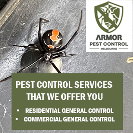 Armor Pest Control - Promotion