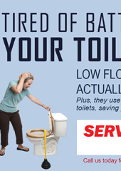 Battling your toilet?