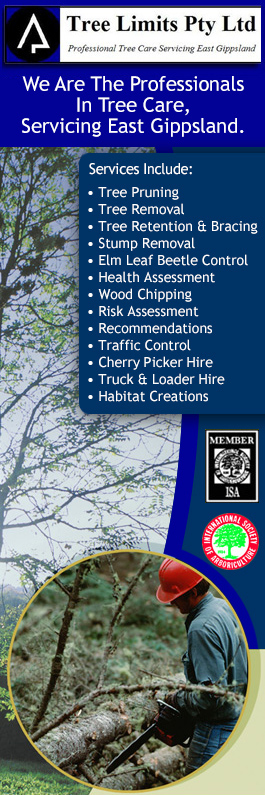 Tree Limits Pty Ltd - Promotion