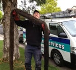 Les Taylor Plumbing Services - Pic 2