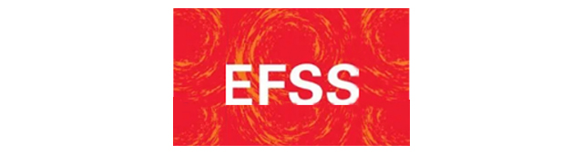 Essential Fire Safety Services - logo