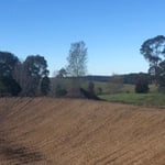 Wayne Coppin Earthmoving - Pic 9