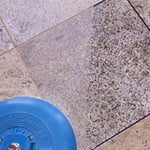 Unicorn Cleaning & Gardening Services Pty Ltd - Pic 10