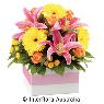 Acacia Art Florist - Pic 1