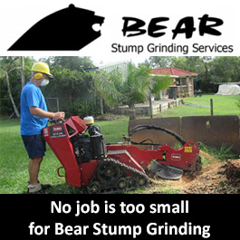 Bear Stump Grinding Services - Promotion