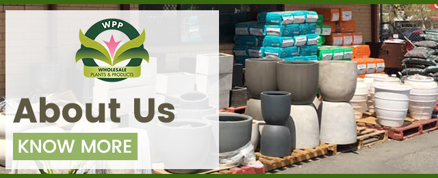 Wholesale Plants & Products Pty Ltd - Promotion 3