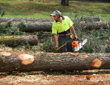 Log Milling