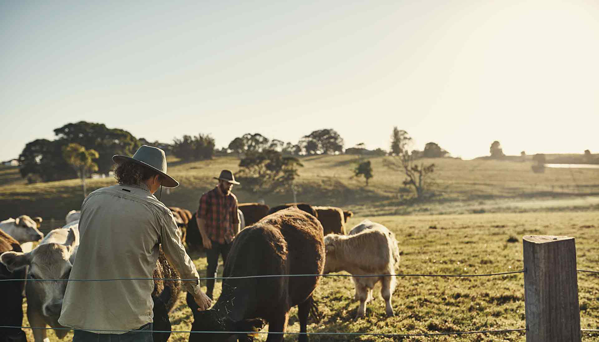Geelong Farm Supplies Fencing Materials North Geelong Yellow Pages®