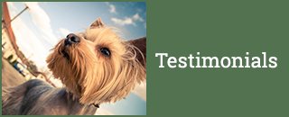 4 Paws B & B Boarding Kennel - Promotion 3