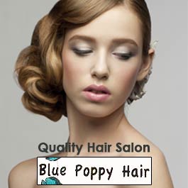 Blue Poppy Hair - Promotion