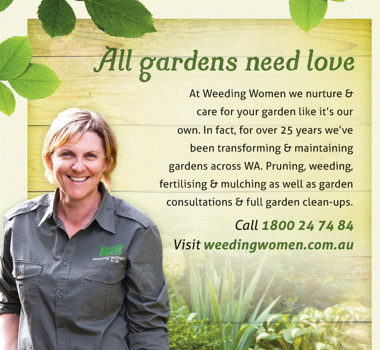 All Gardens Need Love