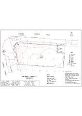 Example Level Survey