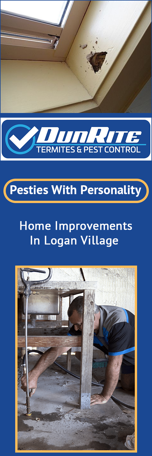 Dunrite Termite & Pest Control - Promotion