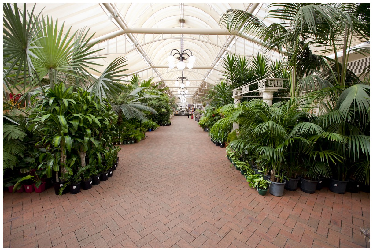 Virginia Nursery Pty Ltd - Promotion 1
