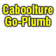 Caboolture Go-Plumb - logo