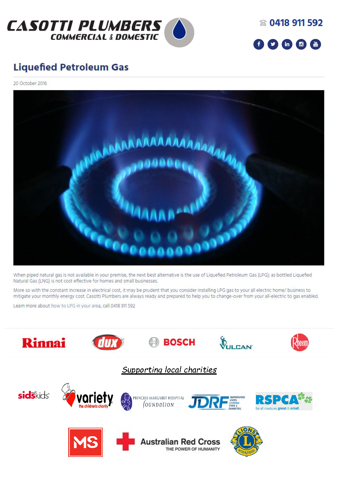 Liquefied Petroleum Gas