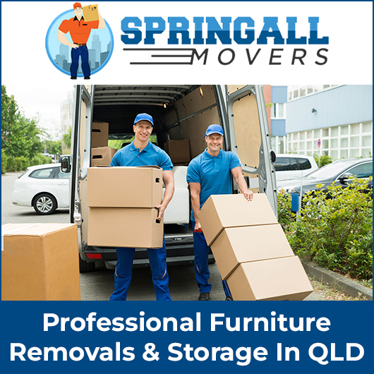 Springall Movers - Promotion