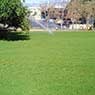 Lakeside Turf - Pic 2