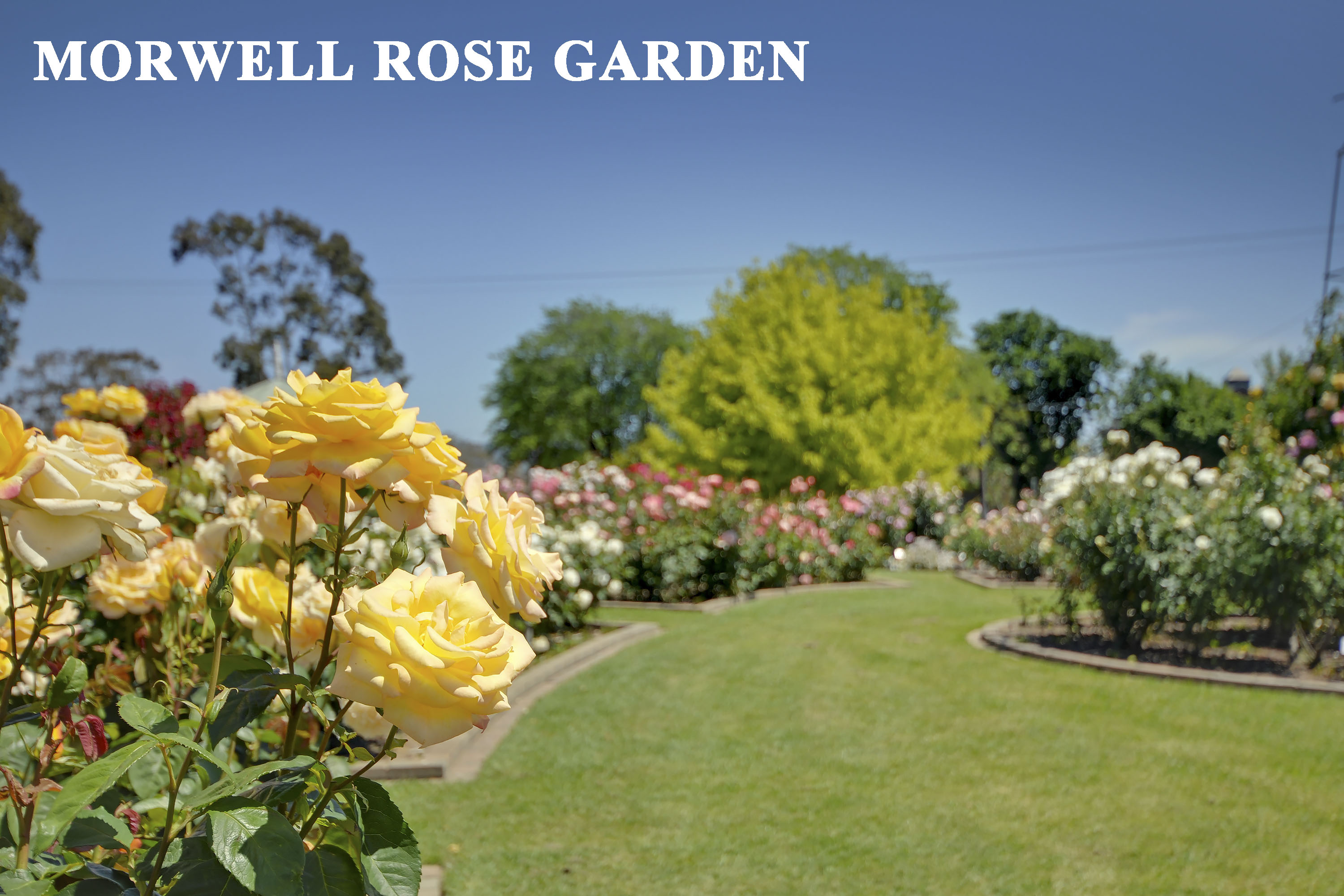 Rennie Property Sales Real Estate Agents 219 Commercial Rd, Morwell